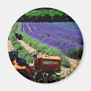 Aimant Ferme de lavande du Jersey, Îles Anglo-Normandes