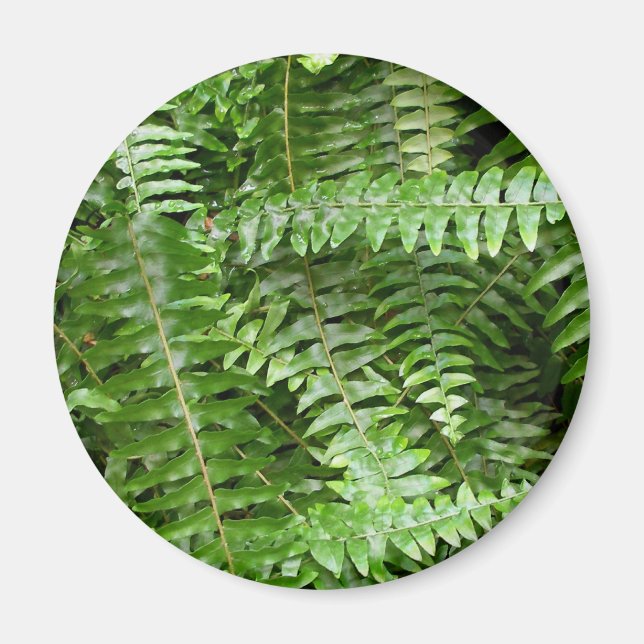 Aimant Fermer Fronds I Green Nature (Devant)