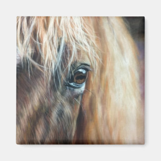 Aimant Fermer l'oeil du cheval