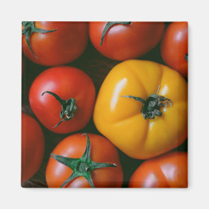 Aimant Fermes   Tomates rouges et jaunes brillantes