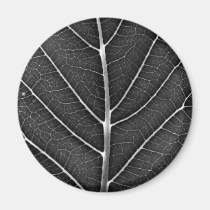Aimant Fermeture de la feuille brillante noire et blanche