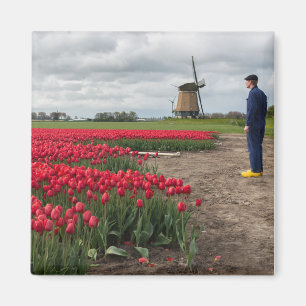 Aimant Fermier inspectant ses tulipes et son moulin à ven