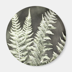 Aimant Fern Artistic Abstrait