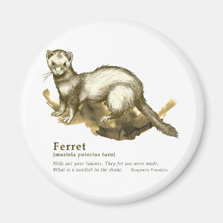 Aimant Ferret - sepia