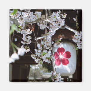 Aimant Festival des fleurs de cerisiers à Kyoto