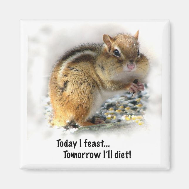 Aimant Festoyer Chipmunk (Devant)