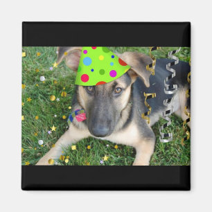 Aimant Fête d'anniversaire animal berger allemand