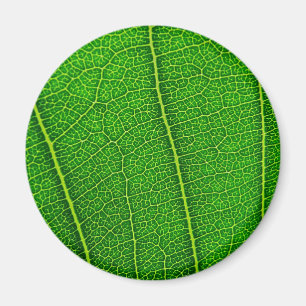 Aimant feuille