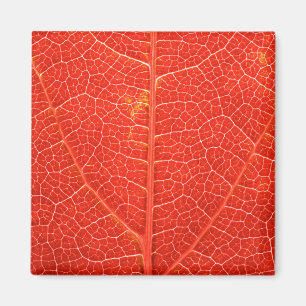 Aimant Feuille automnale