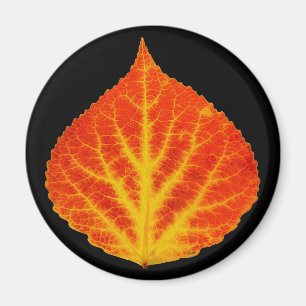 Aimant Feuille d'Aspen rouge et jaune #10