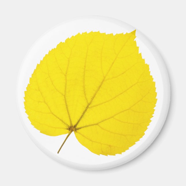 Aimant Feuille de lin d'automne (Devant)