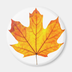 Aimant Feuille d'érable orange