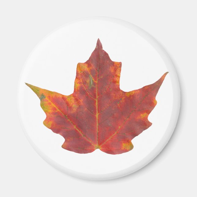 Aimant Feuille d'érable rouge (Devant)