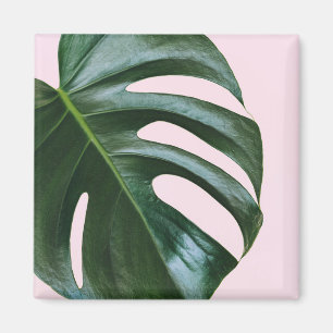 Aimant Feuille tropicale de Monstera