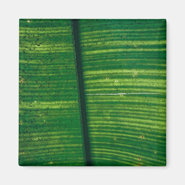 Aimant Feuille verte avec détails du Costa Rica (Devant)
