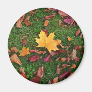 Aimant Feuilles d'automne