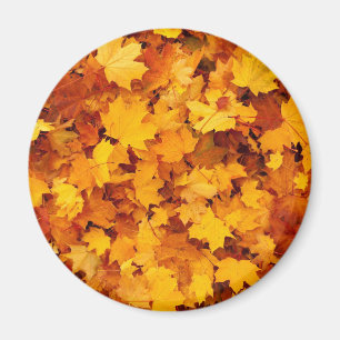 Aimant Feuilles d'automne