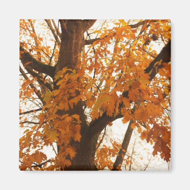 Aimant Feuilles d'automne (Devant)