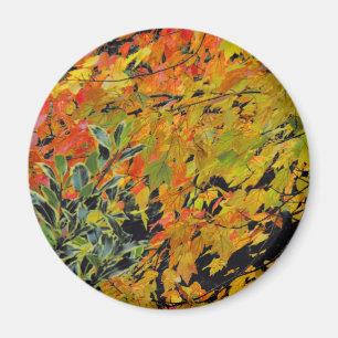 Aimant Feuilles d'automne