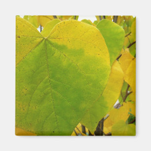 Aimant Feuilles de redbud jaunes et vertes