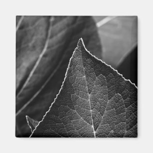 Aimant feuilles étant