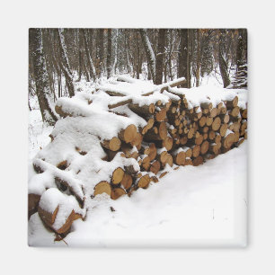 Aimant Fichier journal dans l'aimant Woods