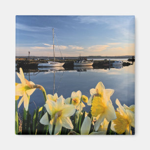 Aimant Fife, Ecosse photo pittoresque