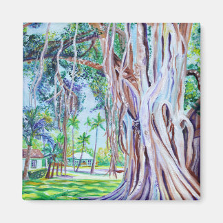 Aimant Figue de Banyan à Waimea Plantation Cottages