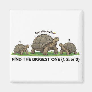 Aimant Find the Biggest One Animal World Quest for Toddle