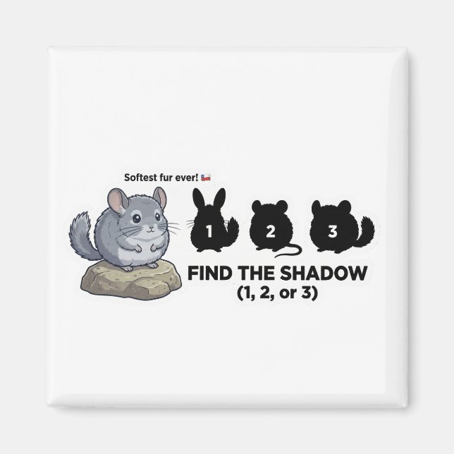 Aimant Find the Shadow Chinchilla Animal World Quest for  (Devant)