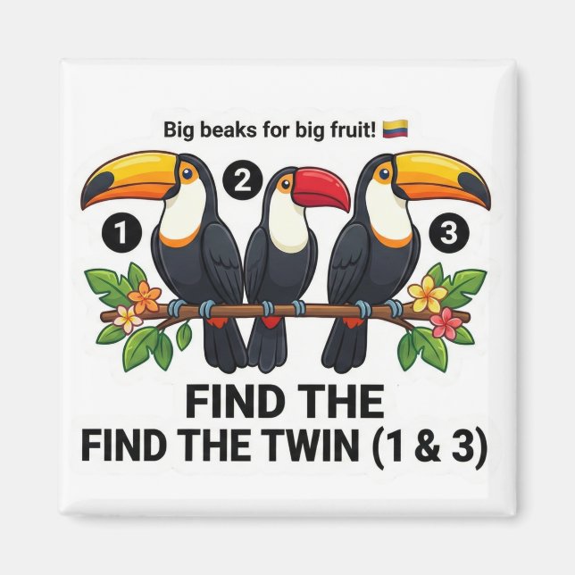 Aimant Find The Twin: Toucan Colombia Educational Matchin (Devant)