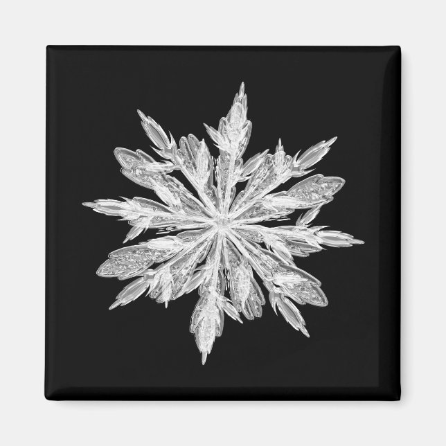 Aimant Flacon de neige en cristal de glace (Devant)