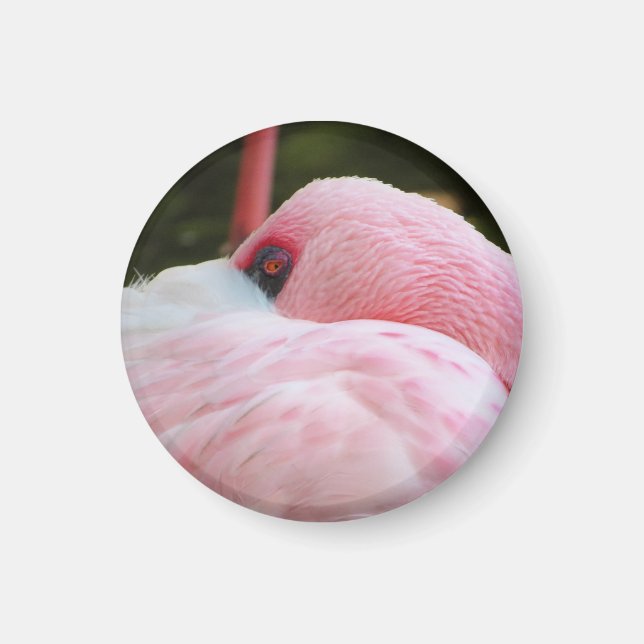 Aimant Flamant rose (Devant)