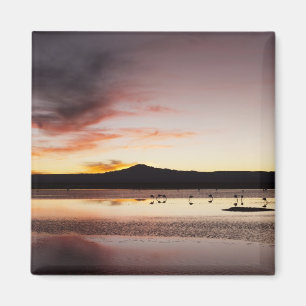 Aimant Flamant rose chilien