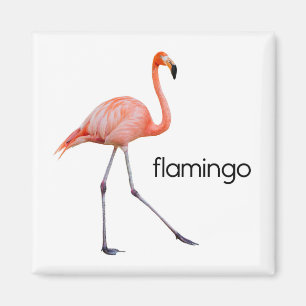Aimant Flamant rose rose