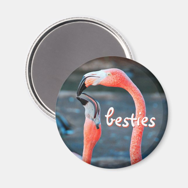 Aimant Flamant rose rose Oiseaux Photo Besties Script élé (Recto/Verso)