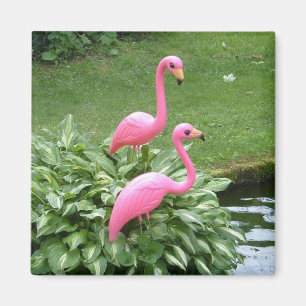 Aimant FLAMANTS ROSES ROSE (carré)
