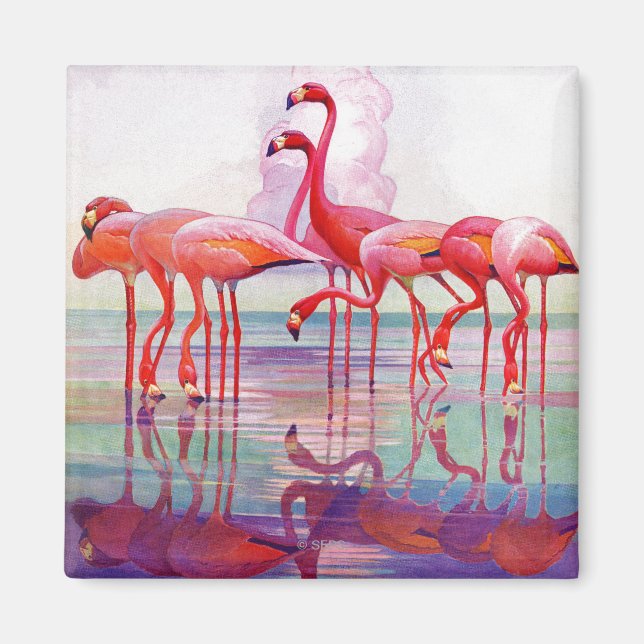 Aimant Flamants roses roses par Francis Lee Jaques (Devant)