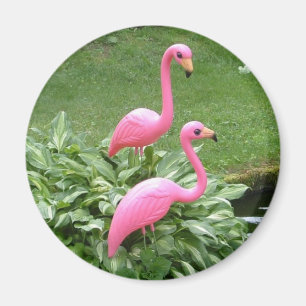 Aimant FLAMANTS ROSES ROSES (rond)