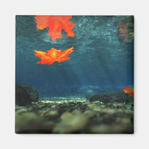 Aimant Flamme dans l'aimant à eau