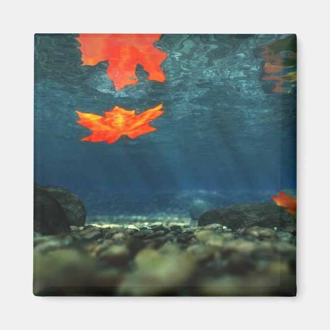 Aimant Flamme dans l'aimant à eau (Devant)