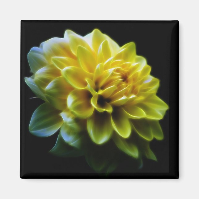 Aimant Fleur Dahlia et signification (Devant)