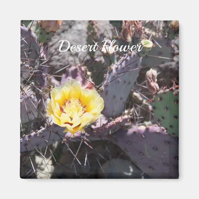 Aimant Fleur de cactus jaune au printemps (Devant)