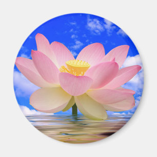 Aimant Fleur de Lotus soutenue dans l'eau