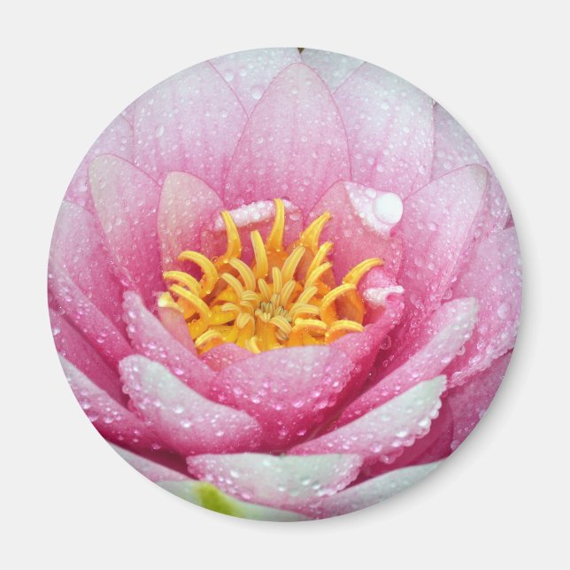 Aimant Fleur de lys d'eau PInk (Devant)