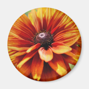 Aimant Fleur de marguerite orange