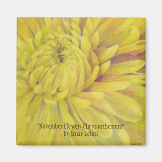 Aimant Fleur de novembre : Chrysanthemum