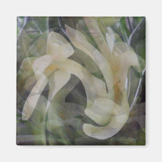 Aimant Fleur de Papaya en Abstrait