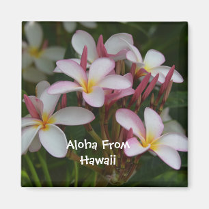 Aimant Fleur de Plumeria