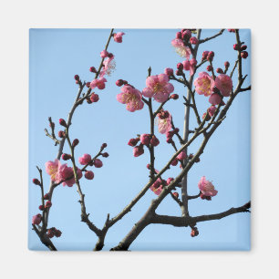 Aimant Fleur de prune : Japon